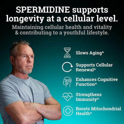 High Strength Spermidine Cellular Support - 120 Capsules