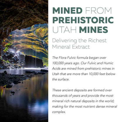 Fulvic & Humic Trace Mineral Complex - 60 Capsules